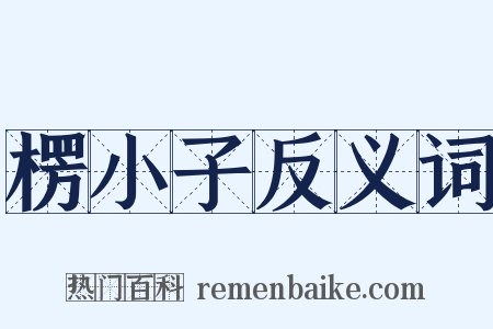 楞小子反义词是什么意思的图片